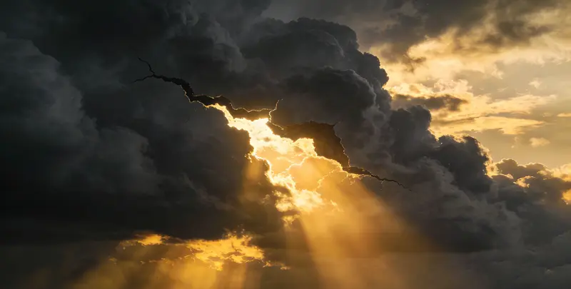 烟台肺癌12基因ctDNA突变检测(血液）图片1