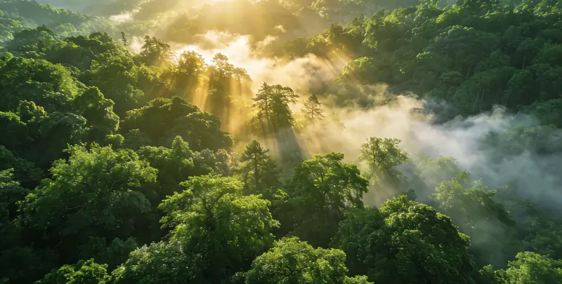 烟台肺癌（EGFR T790M)突变检测图片1